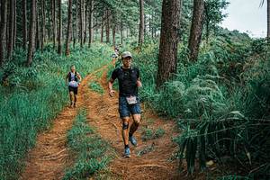 BIB: 
                            <button type="button" onclick="openModal(25652755)" class="btn btn-primary btn-sm float-right btn-popup" data-toggle="modal" data-target=".modal-high-quality">
                        <i class="fas fa-shopping-cart"></i> Add to Cart
                    </button>
                                            <button type="button" onclick="isThisMe(25652755, true)" class="btn btn-success btn-sm float-right btn-popup btn-isme hidden" data-toggle="tooltip" data-placement="bottom" title="นี่คือรูปของคุณใช่ไหม คลิกที่นี่เพื่อเอาเข้าอัลบั้ม">
                        <i class="fas fa-plus"></i> Add to album
                    </button>
                    <button type="button" onclick="isThisMe(25652755, false)" class="btn btn-warning btn-sm float-right btn-popup btn-isnotme hidden">
                        <i class="fas fa-ban"></i> Remove from album
                    </button>